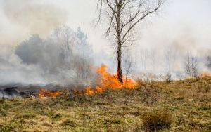 Przed nami najbardziej „palny” miesiąc w roku! Stop wypalaniu traw (6)