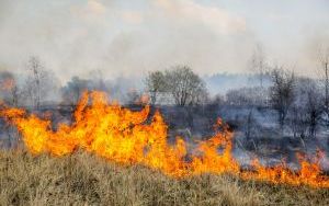 Przed nami najbardziej „palny” miesiąc w roku! Stop wypalaniu traw (1)