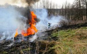 Przed nami najbardziej „palny” miesiąc w roku! Stop wypalaniu traw (2)