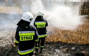 Przed nami najbardziej „palny” miesiąc w roku! Stop wypalaniu traw (4)