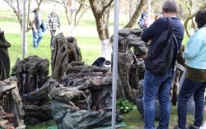 6. Festiwal Smaków w Tokarni  (3)