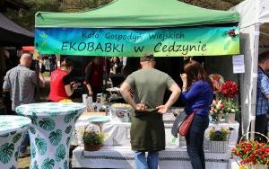 6. Festiwal Smaków w Tokarni  (1)