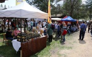 6. Festiwal Smaków w Tokarni  (3)