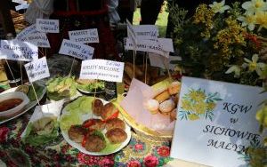 6. Festiwal Smaków w Tokarni  (4)