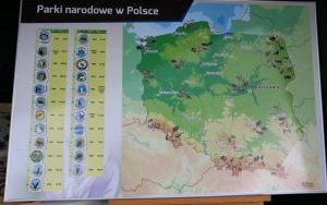 XV Jarmark Świętokrzyski  (3)