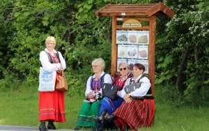Eliminacje zespołów folklorystycznych i solistów w Jaworzni (4)