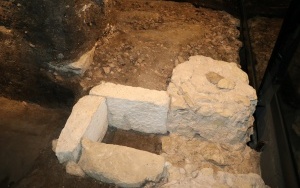 Otwarcie Muzeum Archeologiczniego w Wiślicy (2)