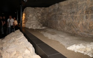 Otwarcie Muzeum Archeologiczniego w Wiślicy (4)