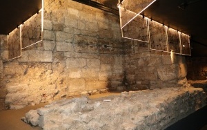 Otwarcie Muzeum Archeologiczniego w Wiślicy (2)