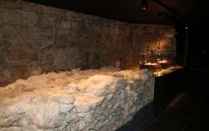 Otwarcie Muzeum Archeologiczniego w Wiślicy (3)