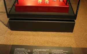 Otwarcie Muzeum Archeologiczniego w Wiślicy (5)