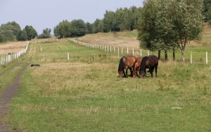 Jan Ozga (2)