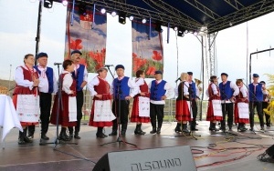 Dożynki Powiatu Kieleckiego i Gminy Górno  (4)
