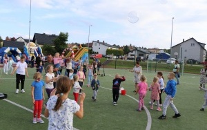 Piknik w Mniowie  (1)
