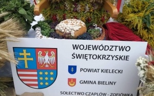 Dożynki Wojewódzkie w Bogorii (3)