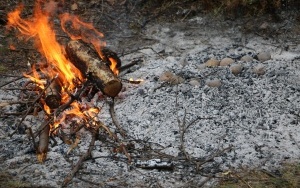 Dzień Ziemniaka w Oblęgorze  (3)