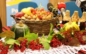Konferencja przed Festiwalem Babiego Lata (2)