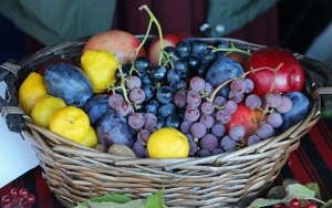 II Festiwal Smaków Babiego Lata (3)