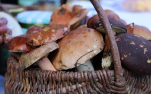 II Festiwal Smaków Babiego Lata (5)