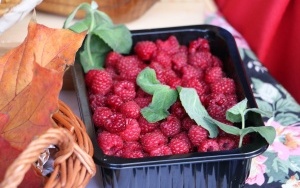 II Festiwal Smaków Babiego Lata (2)