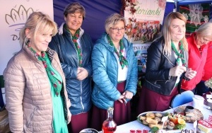 II Festiwal Smaków Babiego Lata (1)