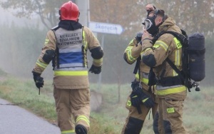 Powiatowe ćwiczenia obronne pk. Zamek 22 (3)