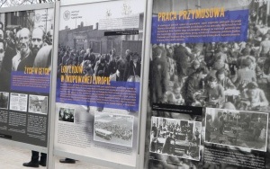 Uroczystości AK (5)