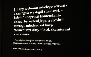 Zjazd partnerów lokalnych programu „Zawołani po imieniu” (13)