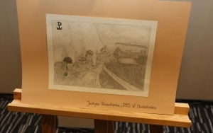 Rozstrzygnięcie konkursu o AK (12)