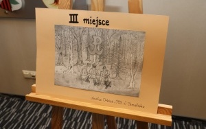 Rozstrzygnięcie konkursu o AK (14)