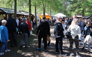 Świętokrzyski Festiwal Smaków (15)