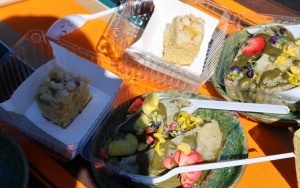 Świętokrzyski Festiwal Smaków (3)
