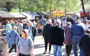 Świętokrzyski Festiwal Smaków (9)