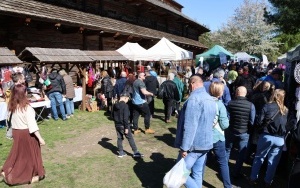 Świętokrzyski Festiwal Smaków (10)