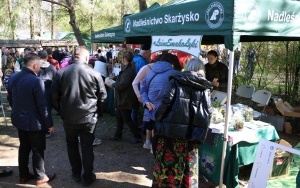 Świętokrzyski Festiwal Smaków (12)