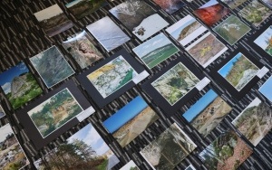 Rozstrzygnięcie konkursu fotograficznego (4)