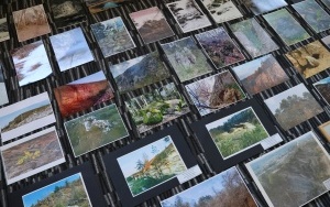 Rozstrzygnięcie konkursu fotograficznego (1)