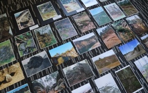 Rozstrzygnięcie konkursu fotograficznego (2)
