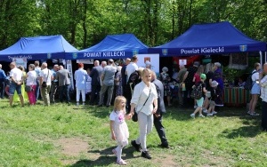XVI Jarmark Świętokrzyski  (3)