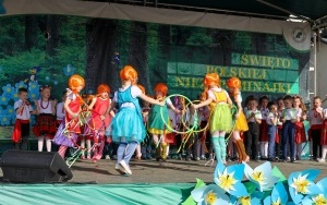 Święto Niezapominajki (8)