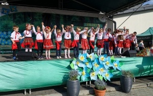 Święto Niezapominajki (9)