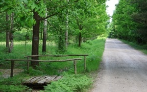 Pieszy Rajd Szkół Podstawowych im. Bohaterów Armii Krajowej  (5)