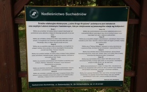 Pieszy Rajd Szkół Podstawowych im. Bohaterów Armii Krajowej  (3)