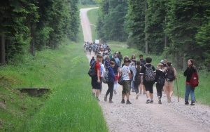 Pieszy Rajd Szkół Podstawowych im. Bohaterów Armii Krajowej  (6)