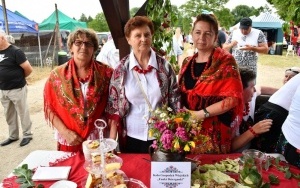 Festyn w Baszowicach (1)