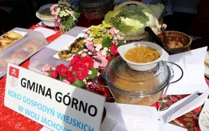 Tak się bawili goście powiatu nad zalewem w Kaniowie  (4)
