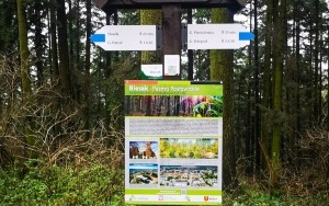 Natura w powiecie kieleckim (5)