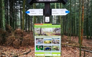 Natura w powiecie kieleckim (12)
