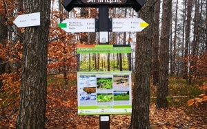 Natura w powiecie kieleckim (2)