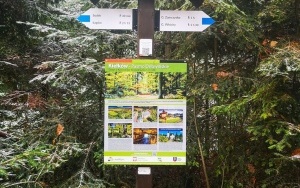 Natura w powiecie kieleckim (6)